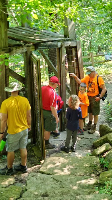 Cub World Campfire Arena 2