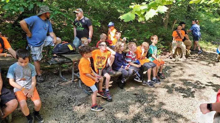 Cub World Campfire Arena 3