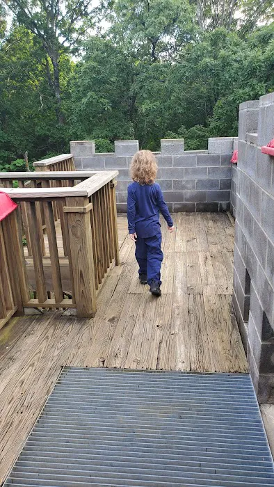 Cub World Campfire Arena 5