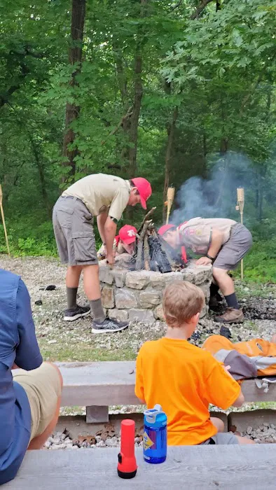 Cub World Campfire Arena 4