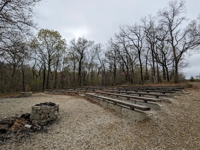 Cub World Campfire Arena 10