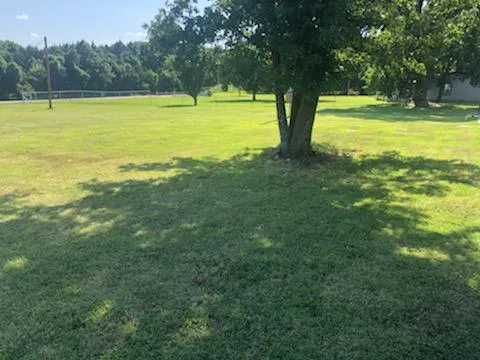 East Basin Campground 5