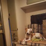 Route 66 RV Park - Tulsa, Sapulpa