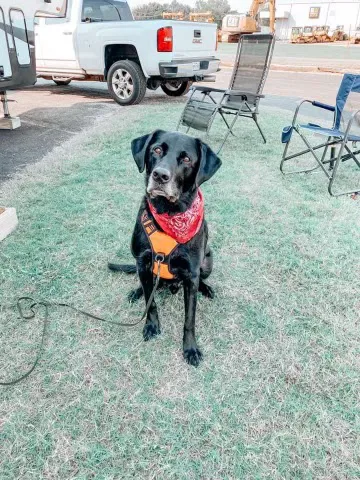 RV Park of Tulsa 1