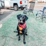 RV Park of Tulsa