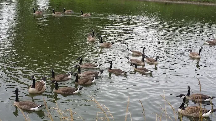 Lake Valley RV Park 3