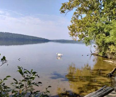 Peacock Pines RV Park