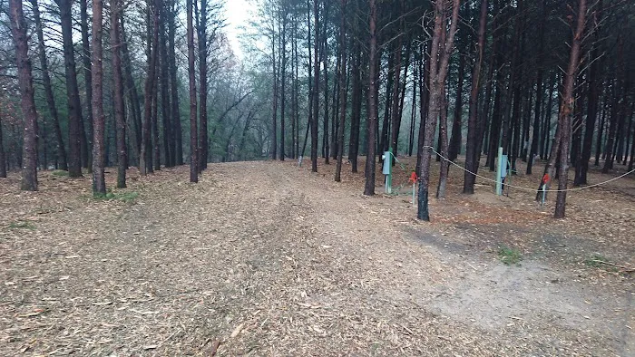 Peacock Pines RV Park 3