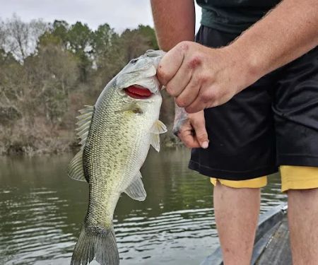 DeRoche Ridge Campground at Degray Lake State Park