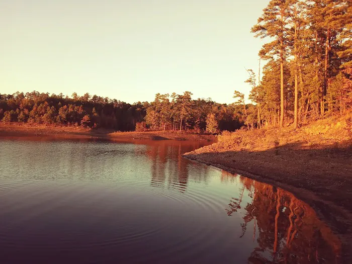 Iron Mountain COE 6