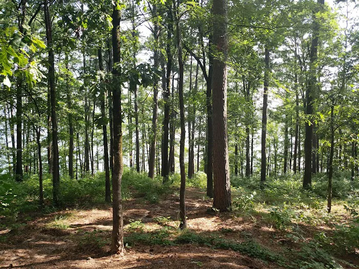 Iron Mountain COE 1
