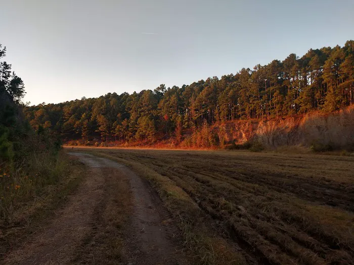 Iron Mountain Campground 1