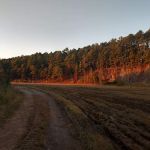 Iron Mountain Campground