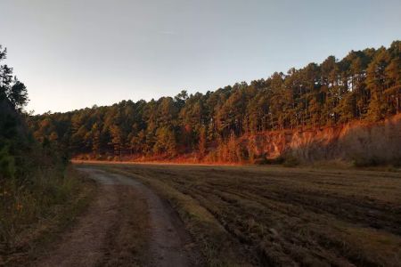 Iron Mountain Campground