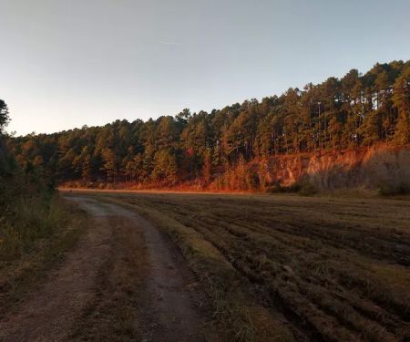 Iron Mountain Campground