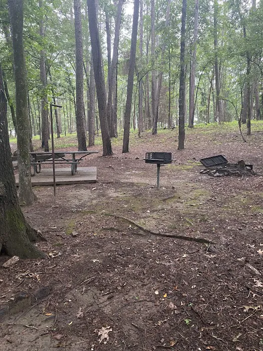 Campsite #81 3