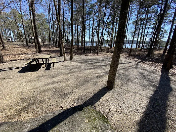 Campsite #81 9