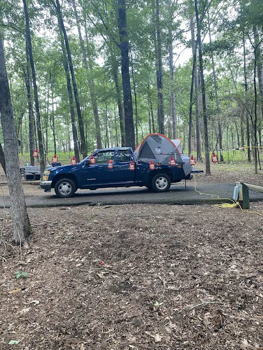 Campsite #81 5
