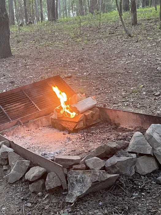 Campsite #81 8