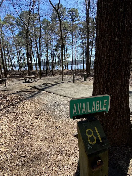 Campsite #81 7