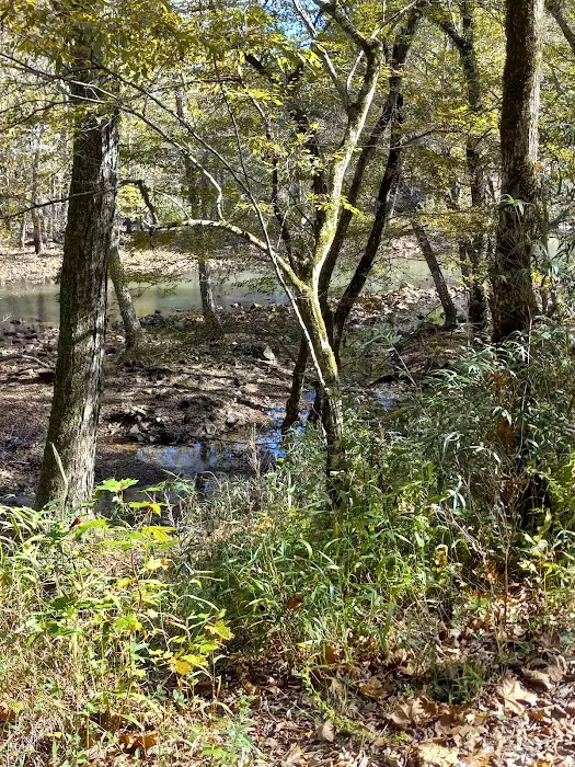 Cossatot Reefs 8