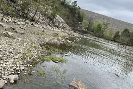 Cossatot Reefs