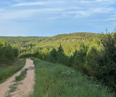Solar Eclipse Camping (Gillham, AR)