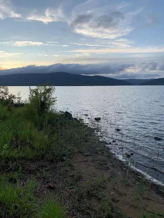 SARDIS COVE 5