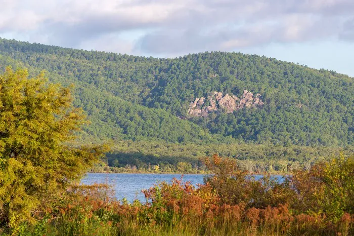 SARDIS COVE 9