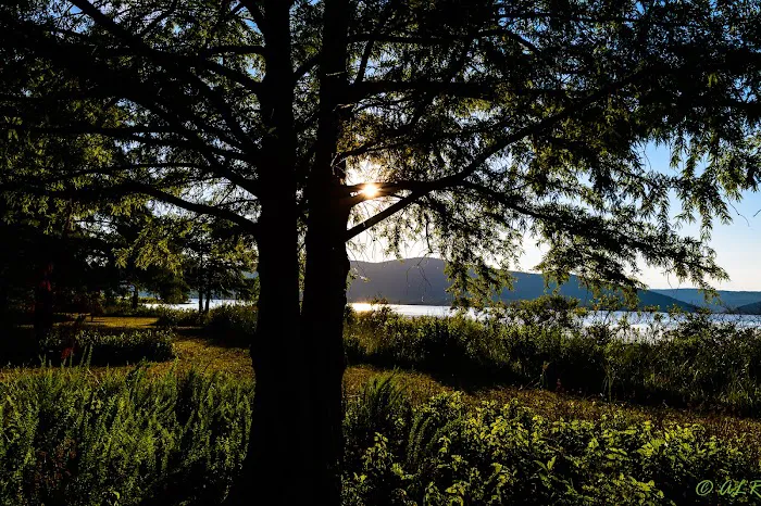 SARDIS COVE 2