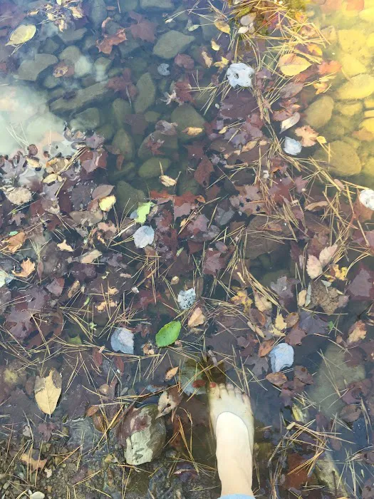 Clayton Lake Campground 4