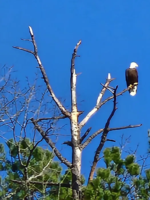 Panther Creek Park 1