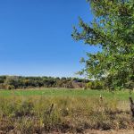 Soggy Bottom Campground
