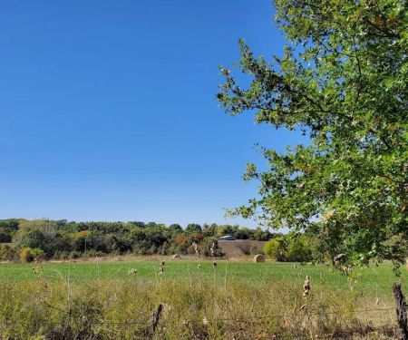 Soggy Bottom Campground