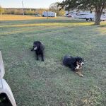 Golden Pond RV Park