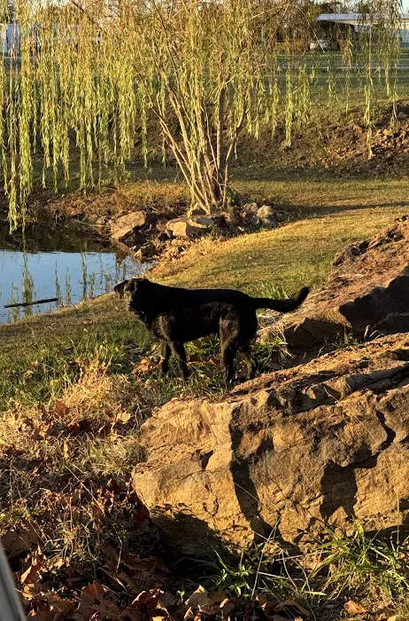 Golden Pond RV Park 6