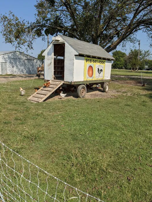Morris RV Park 4