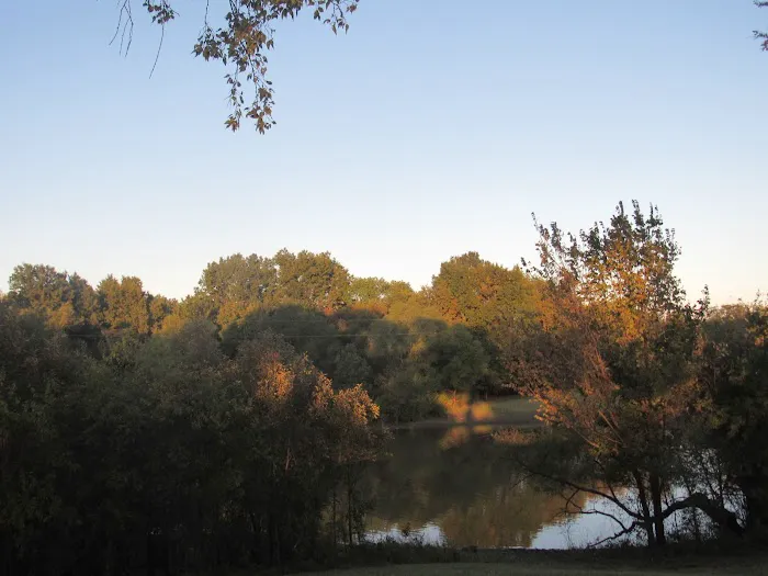 Gentry Creek 10