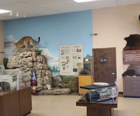 Deep Fork Campground