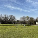 Group Campground (Area 4)