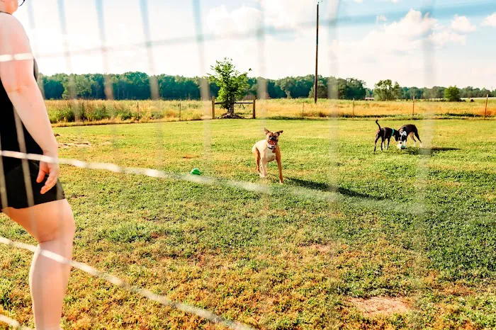 Chapel Hill RV Park 7
