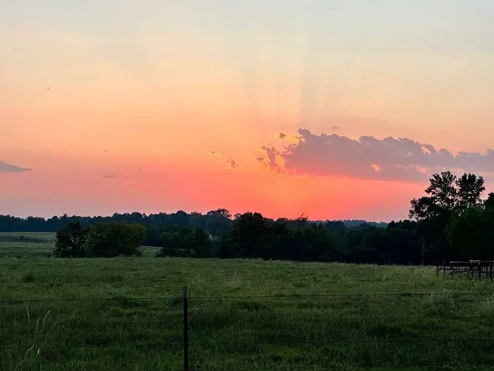 Chapel Hill RV Park 10