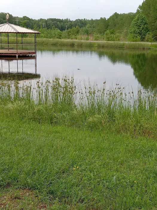 Little River RV park 2