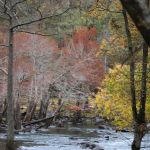 Acorn Campground
