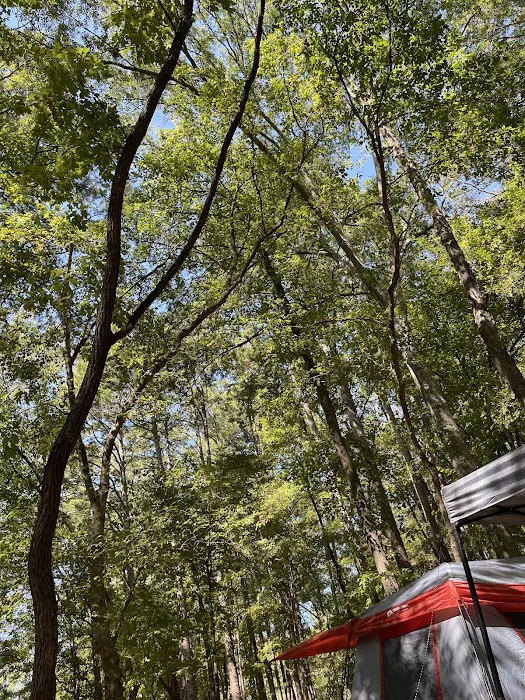 Cypress Campground 8