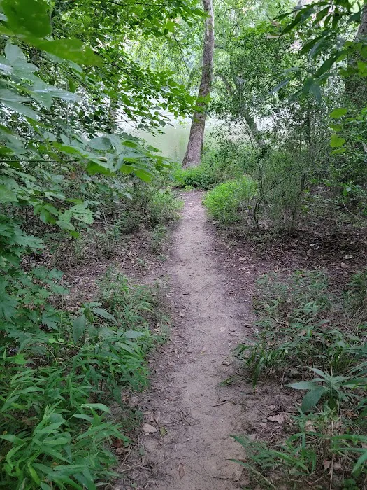 Dogwood Campground 6