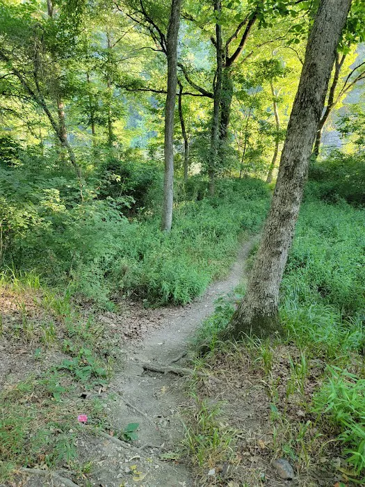 Dogwood Campground 8