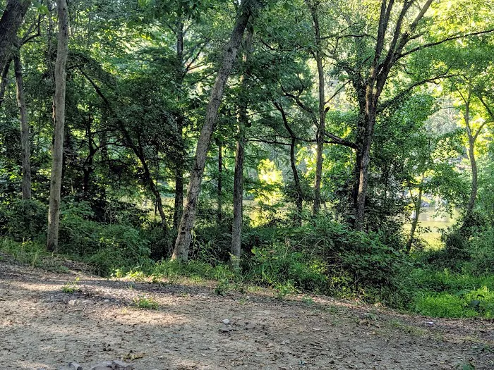 Dogwood Campground 2