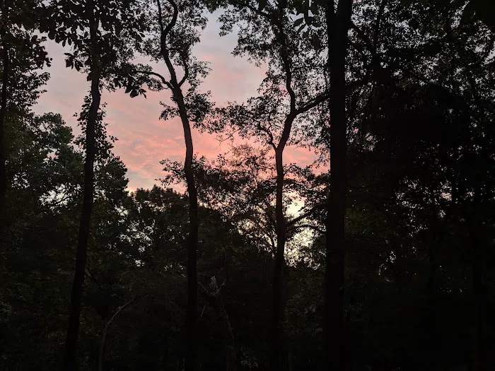 Dogwood Campground 1