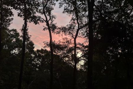 Dogwood Campground